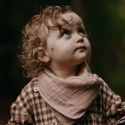 BIBS Bandana Bib Blush