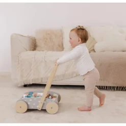 Bubble Wooden Baby Push Cart