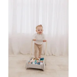 Bubble Wooden Baby Push Cart