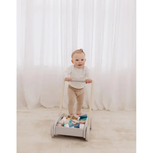 Bubble Wooden Baby Push Cart