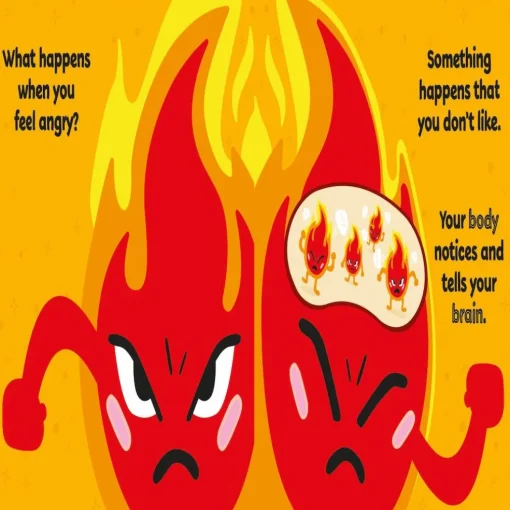DK Books First Emotions: I Feel Angry