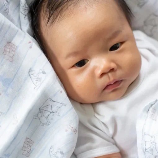 Elly Organic Cotton Swaddle - Camping with Pooh