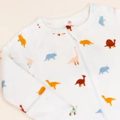 Elly Raglan Sleepsuit - Dino