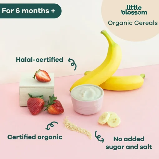 Little Blossom Organic Brown Rice Cereal | Banana & Strawberry