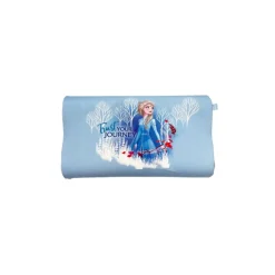 Little Zebra Frozen Big Pillow Case