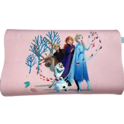 Little Zebra Frozen Big Pillow Case