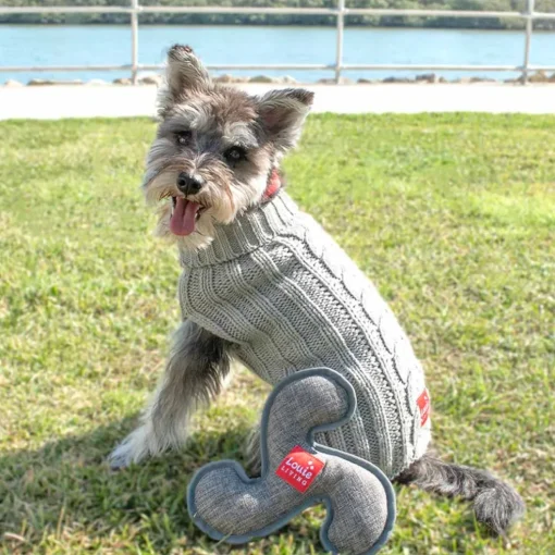 Louie Living Pet Toy - Frisbee