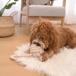 Louie Living Pet Toy - Tug Rope (Medium)