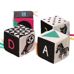 Manhattan Toy Wimmer Ferguson Mind Cubes