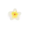 Oli&Carol Chewy-to-Go Hawaii the Flower