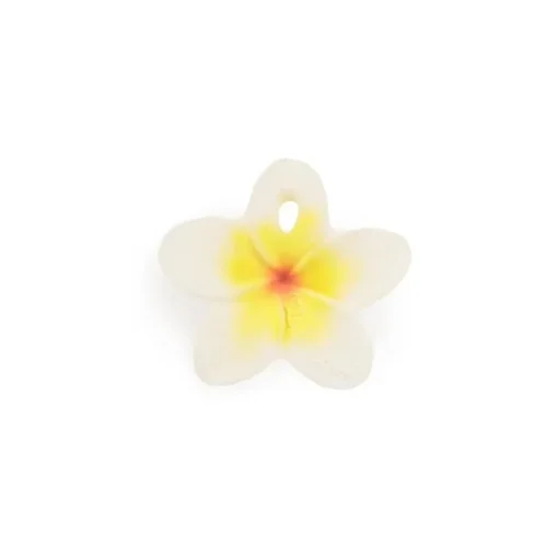 Oli&Carol Chewy-to-Go Hawaii the Flower