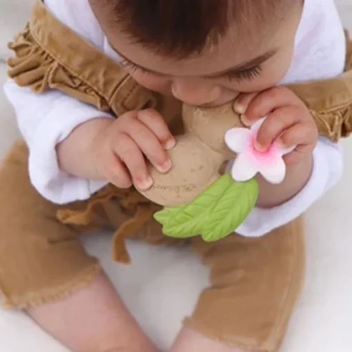 Oli&Carol Aly the Almond Teether