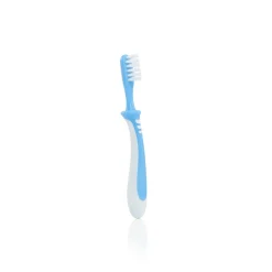Pigeon Training Toothbrush, Lesson 3 Blue