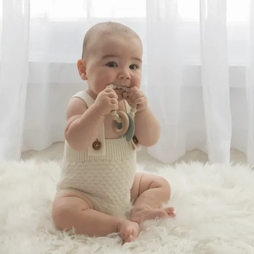 Playground Silicone Elephant Teether