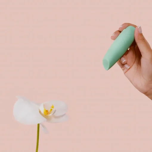 Smile Makers The Whisperer Vibrator