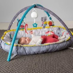 Taf Koala Musical Newborn Cosy Gym