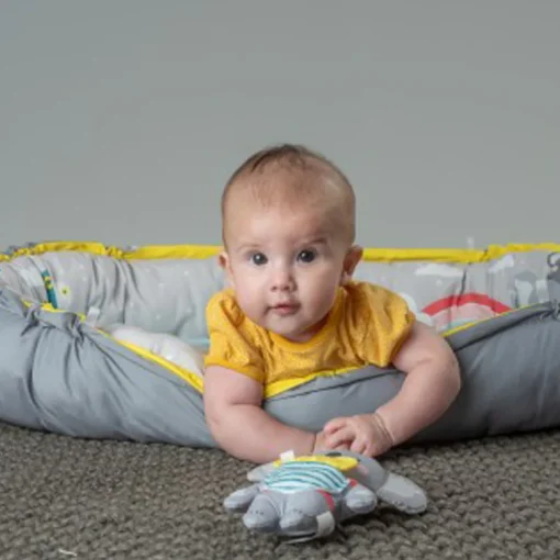 Taf Koala Musical Newborn Cosy Gym