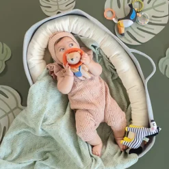Taf Toys Harry the Lion