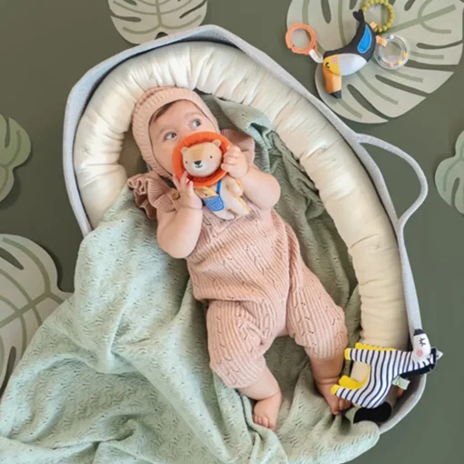 Taf Toys Harry the Lion