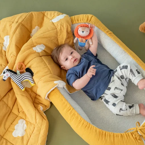 Taf Toys Harry the Lion