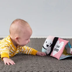 Taf Toys My Feelings Crinkle Toy