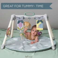 Taf Toys Urban Garden Foldable Gym