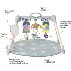 Taf Toys Urban Garden Foldable Gym