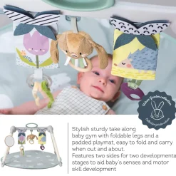 Taf Toys Urban Garden Foldable Gym